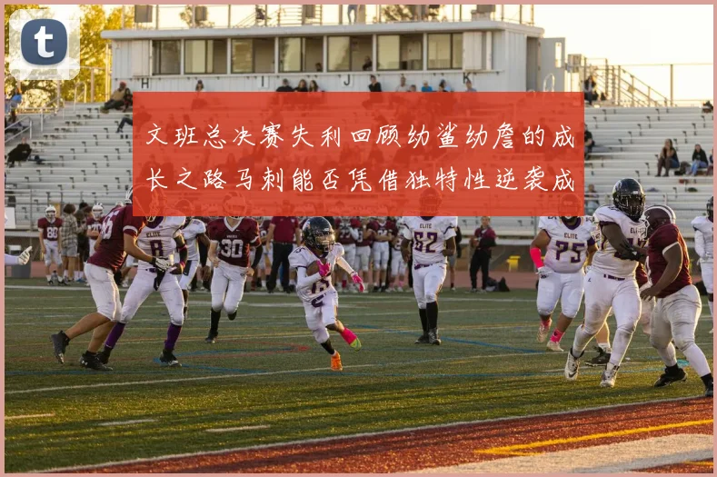文班总决赛失利回顾幼鲨幼詹的成长之路马刺能否凭借独特性逆袭成功