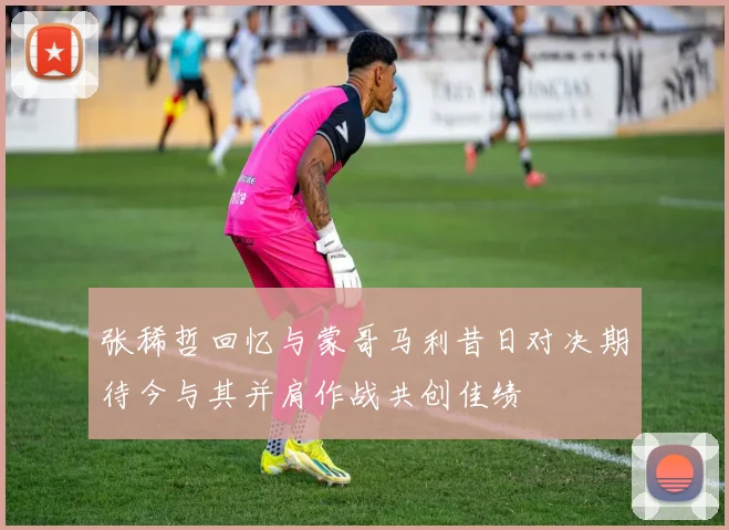张稀哲回忆与蒙哥马利昔日对决期待今与其并肩作战共创佳绩